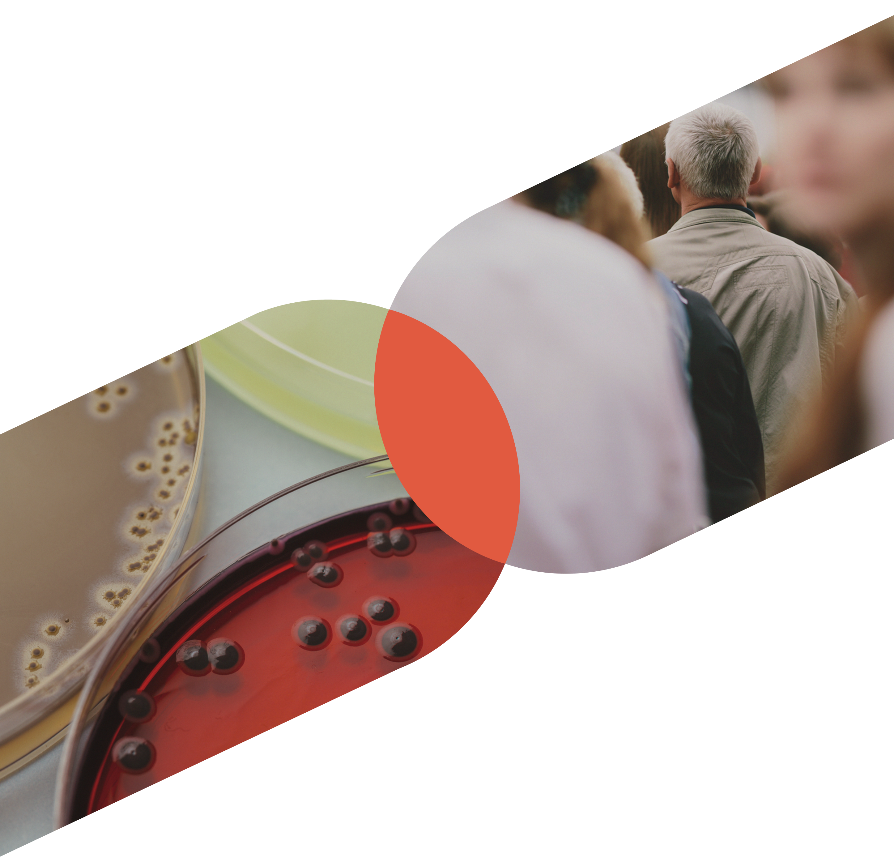 Conectamos<br> la innovación con<br> inversores privados